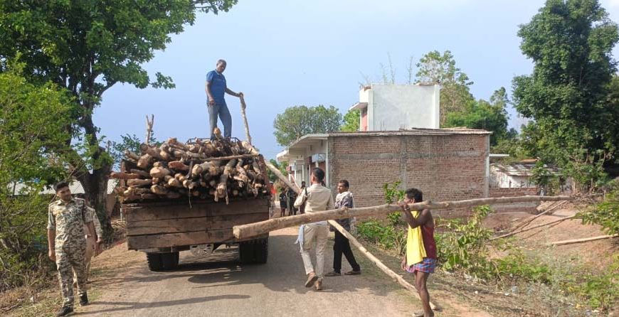 गौरेला क्षेत्र में सागौन की अवैध कटाई पर वन विभाग की बड़ी कार्रवाई