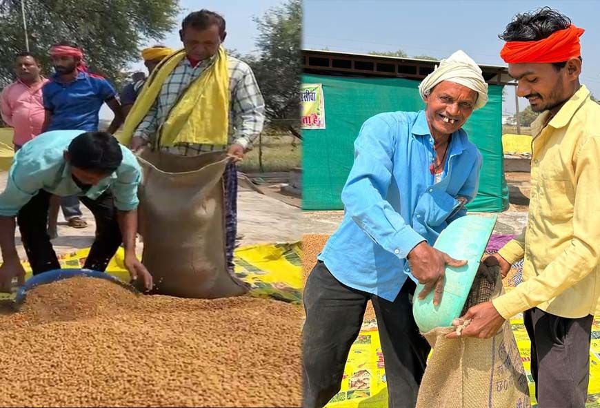 धमतरी का गौरव: विश्व की सबसे बड़ी अनाज भंडारण योजना में बनाया कीर्तिमान,   प्रदेश के कुल चने का 50% अकेले खरीदा