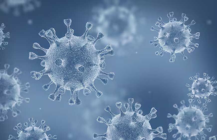 थाईलैंड में नए कोरोना वायरस का पता, इंसानों के लिए हो सकता है खतरा