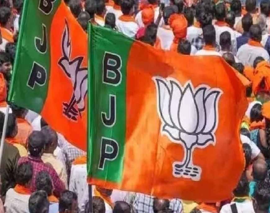 छत्तीसगढ़ BJP कार्यसमिति की बैठक 12-13 मई को, आगामी रणनीति पर होगा मंथन