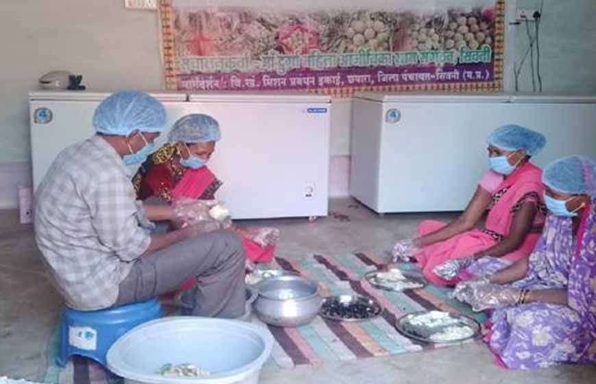सीताफल उत्पादन एवं प्रसंस्करण से महिला स्व-सहायता समूहों की आर्थिक स्थिति में सुधार