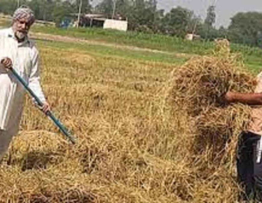 हरियाणा के किसानों ने बदली तस्वीर, पराली जलाने के बजाय अपना रहे वैज्ञानिक तरीके