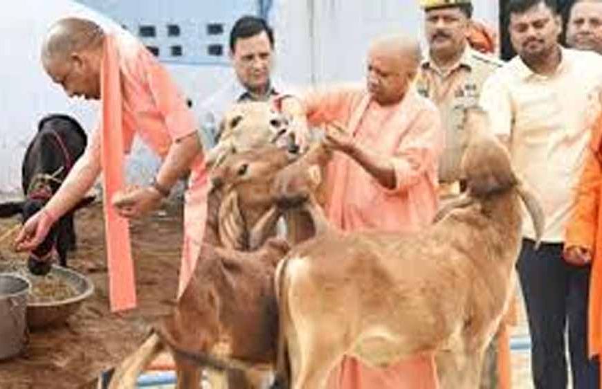 गोसंरक्षण से ग्रामोदय तक, योगी सरकार का बदलता उत्तर प्रदेश मॉडल