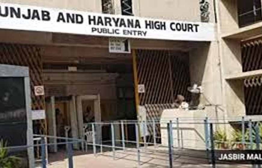 हरियाणा में फसल योजना में गड़बड़ी के आरोप, हाईकोर्ट ने मांगी रिपोर्ट