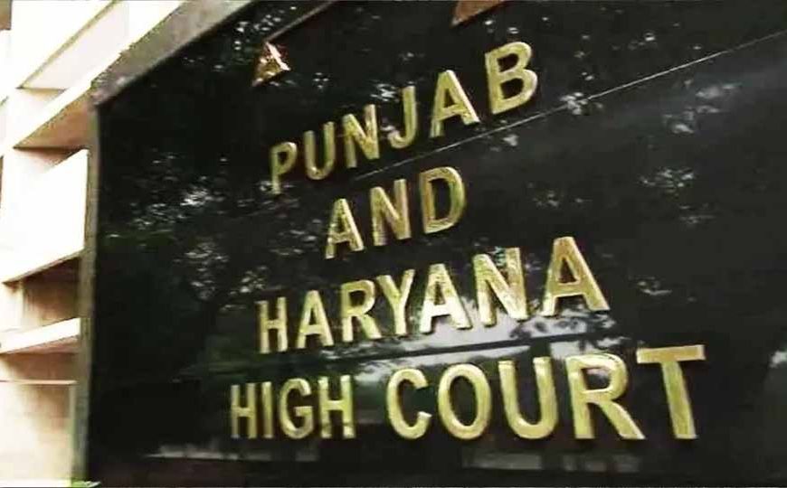लंबरदार बनने के लिए शिक्षा जरूरी! पंजाब-हरियाणा हाईकोर्ट ने सरकार को दिए निर्देश