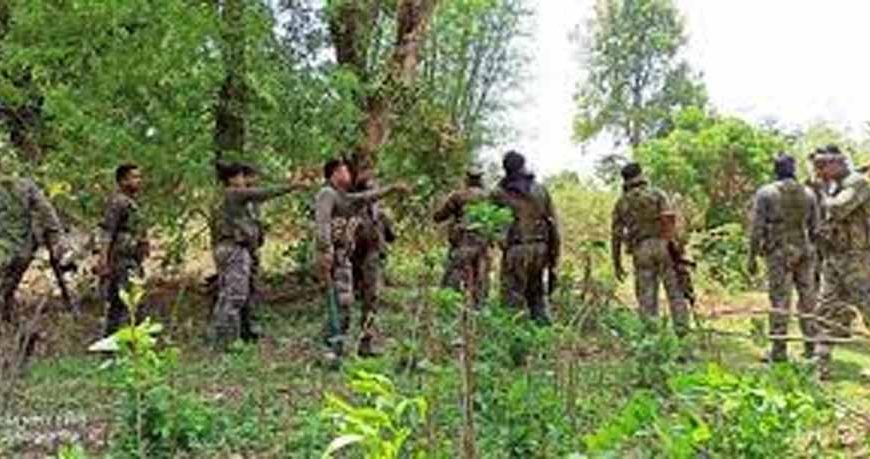 चक्रधरपुर: पोड़ाहाट जंगल में पुलिस-नक्सली मुठभेड़, एक-दो नक्सली ढेर की आशंका