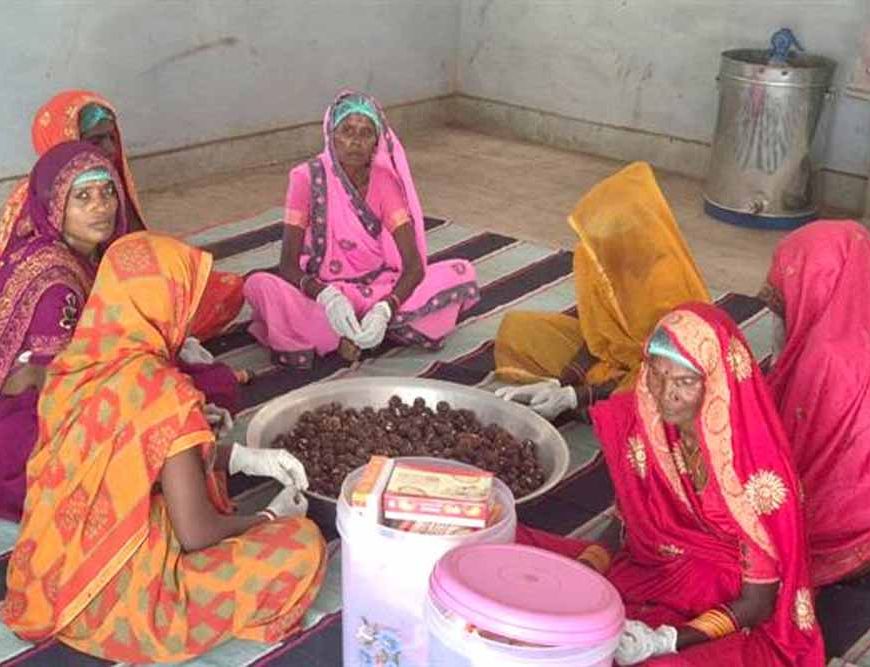 कल्दा वन-धन विकास केंद्र बना जनजातीय महिला उद्यमिता का प्रतीक