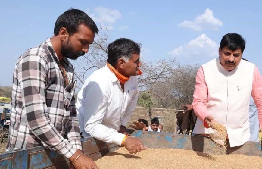 जिन किसानों के स्लॉट बुक हैं, उनसे 28 मई तक गेहूं खरीदेगी सरकार : मुख्यमंत्री डॉ. यादव
