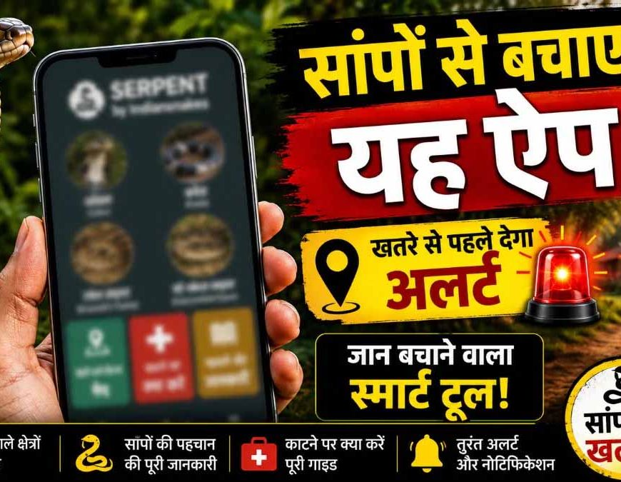 सांपों से बचाव में मदद करेगा ‘Big 4 Mapper’ ऐप: खतरे वाले इलाकों की मिलेगी जानकारी