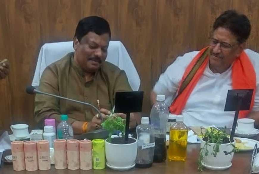 सतावर की खेती से किसानों की होगी बंपर कमाई, खेत की मेड़ बनेगी अतिरिक्त आय का जरिया