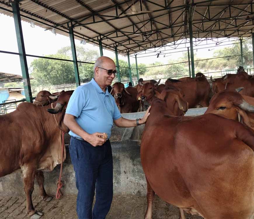 राष्ट्रशक्ति और आर्थिक समृद्धि का नया मॉडल बन रहा गो संरक्षण