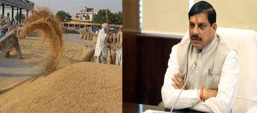 समर्थन मूल्य पर देश में सबसे अधिक 13.10 लाख किसानों से हुआ गेहूं का उपार्जन