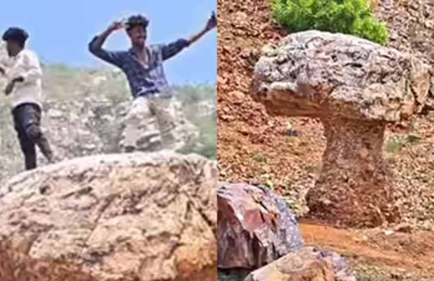 गया में मशरूम के आकार की अनोखी चट्टान बनी पर्यटकों का आकर्षण, गांव को मिली नई पहचान