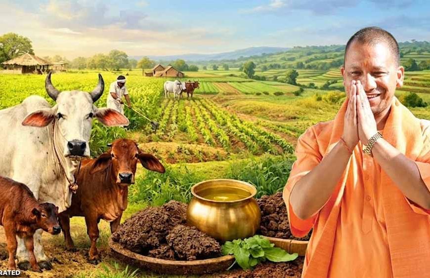 गौ संरक्षण बना यूपी की नई ताकत, योगी सरकार ने ग्रामीण अर्थव्यवस्था को दी जबरदस्त रफ्तार