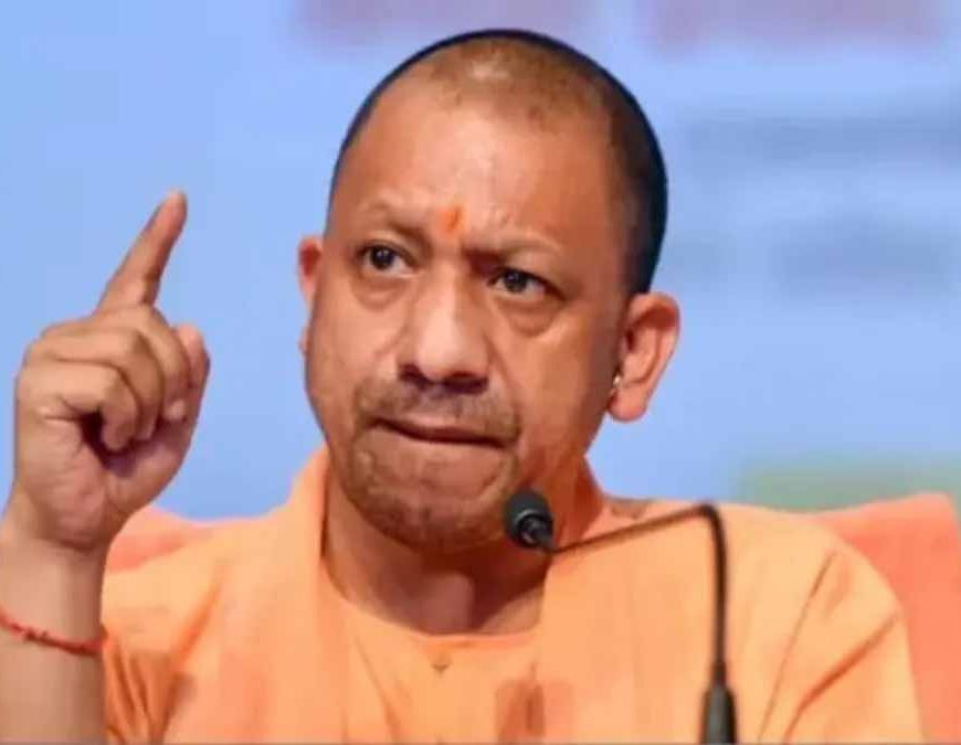 यूपी की ‘गो-इकोनॉमी’ बनी वैश्विक मॉडल: देशी गायों से 10 करोड़ का कारोबार और विदेशों में बढ़ी मांग