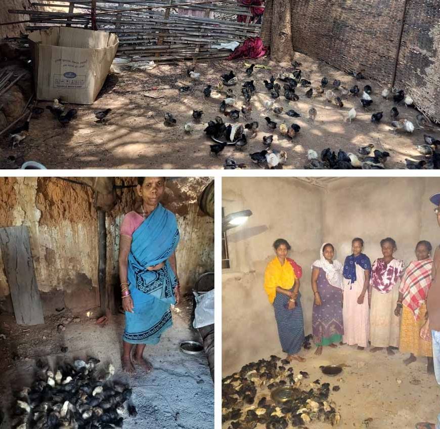 नियद नेल्लानार योजना: कच्चापाल जलप्रपात के पास 'इन्द्रावती समूह' की महिलाएँ मुर्गी पालन से लिख रहीं आत्मनिर्भरता की नई इबारत