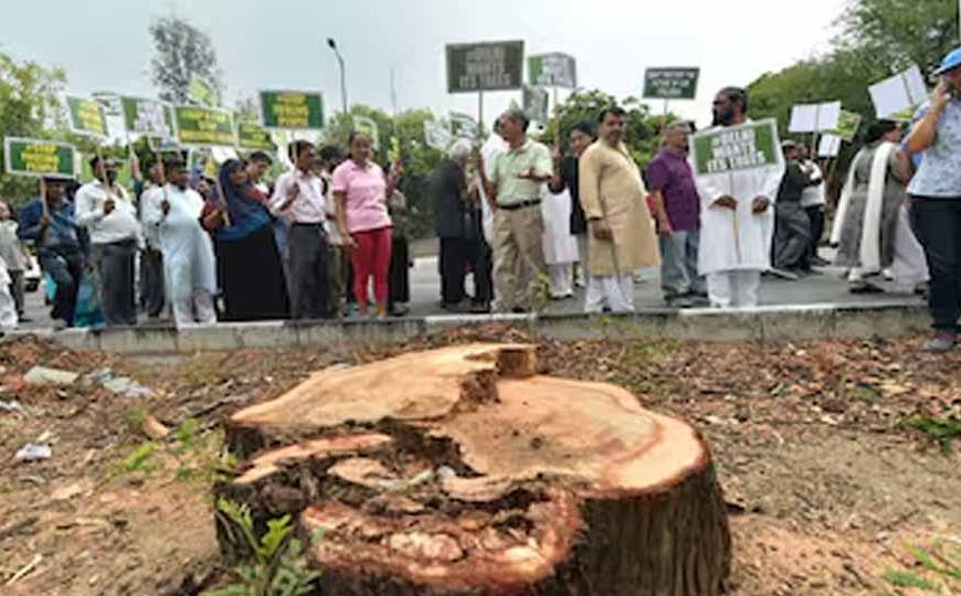 हिसार का 63 करोड़ का डबल लूप इंटरचेंज प्रोजेक्ट अटका, हाईकोर्ट ने पेड़ कटाई पर लगाई रोक
