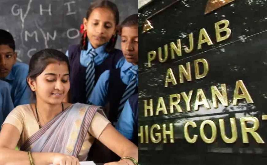 20 साल से पढ़ा रहे गेस्ट फैकल्टी शिक्षकों को नियमित करें, हाईकोर्ट का बड़ा आदेश