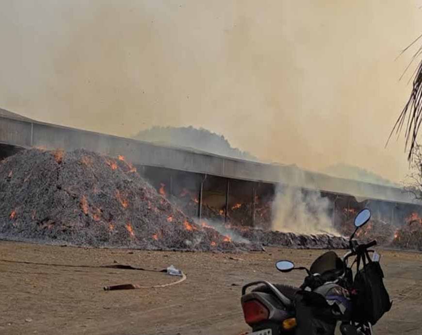 तेंदूपत्ता अग्निकांड पर बड़ा एक्शन, बीजापुर के DFO हटाए गए