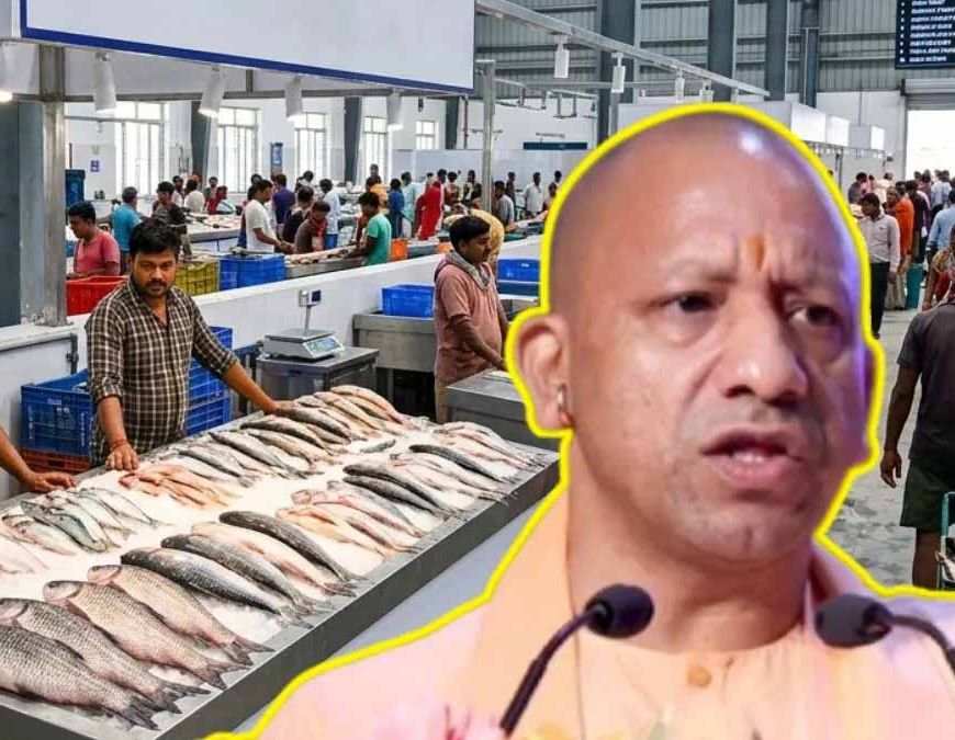 यूपी में मत्स्य कारोबार को मिलेगा बड़ा बूस्ट, गोरखपुर-मुरादाबाद में बनेंगी आधुनिक फिश मंडियां