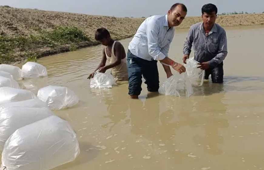 दरभंगा में मत्स्य उत्पादन को नई उड़ान, किसानों को मिला उन्नत जयंती रोहू और अमृत कतला स्पान