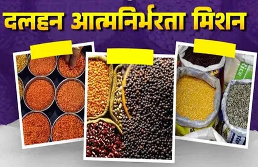 झारखंड में दलहन आत्मनिर्भरता मिशन शुरू, 22 जिलों में बढ़ेगा अरहर-उड़द-मसूर उत्पादन
