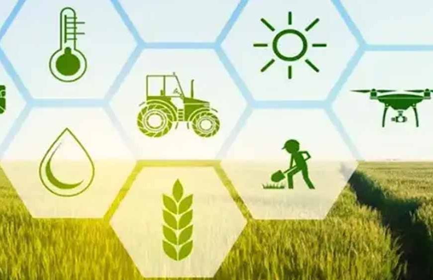 झारखंड में किसानों को बड़ा तोहफा, 30 नई फसल किस्मों को मंजूरी