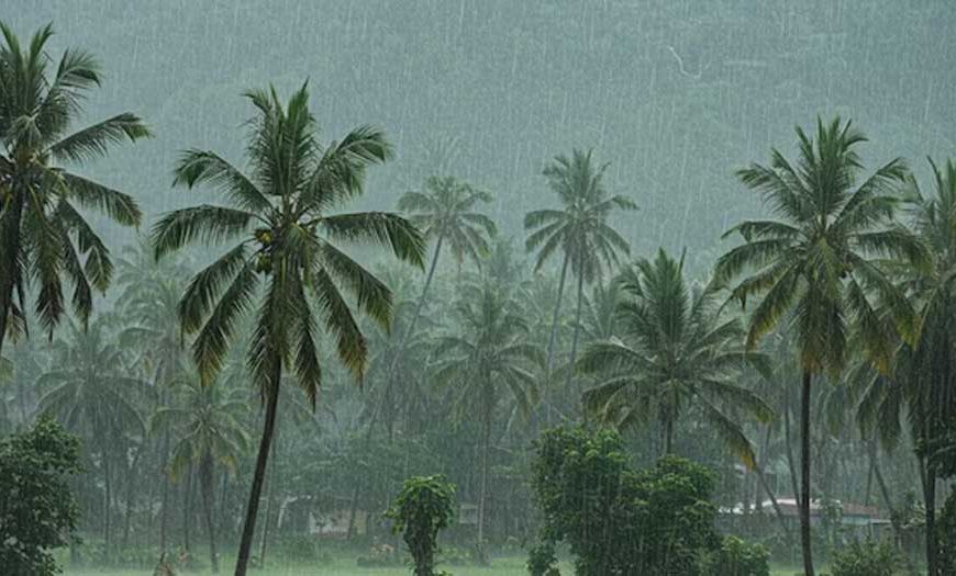 केरल में मॉनसून की रफ्तार धीमी, मौसम विभाग ने बताई देरी की वजह