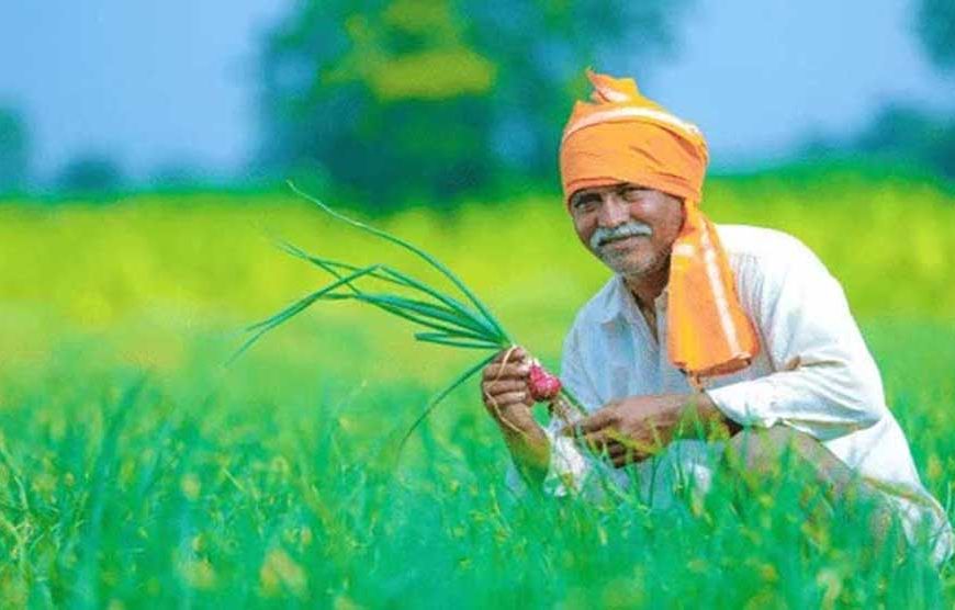 बदलती खेती में नैनो यूरिया और नैनो डीएपी बन रहे किसानों की नई पसंद