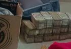 राजस्थान बीज निगम घोटाले में एसीबी की बड़ी कार्रवाई, 2.44 करोड़ नकद बरामद और कई गिरफ्तार