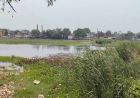 Yamunanagar के जलाशयों पर अतिक्रमण का कब्जा, 592 तालाबों में कचरा, 69 पूरी तरह सूखे
