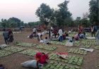 बस्तर में तेंदूपत्ता खरीदी का नया रिकॉर्ड, फिर भी 50 हजार संग्राहकों ने नहीं किया संग्रहण कार्य