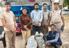 राजस्थान पुलिस की बड़ी कार्रवाई, 90 किलो अफीम दूध के साथ तस्कर गिरफ्तार