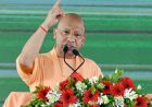 कुछ लोग गाय का दूध पिएंगे और सड़क पर छोड़ देंगे, जब वह फसल का नुकसान करेगी तो दोष मुझे देंगे: सीएम योगी