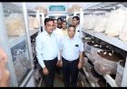 Naresh Kumar Goyal के उदयपुर दौरे में कृषि नवाचार, प्राकृतिक खेती और मशरूम उत्पादन को बढ़ावा देने पर जोर