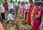 ​धमतरी का 'नगरी' बनेगा हल्दी उत्पादन का नया हब: 250 किसानों ने थामा वैज्ञानिक खेती का हाथ, 250 टन पैदावार का लक्ष्य