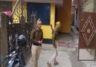 सिवान में RJD नेता के 4 ठिकानों पर सेल्स टैक्स का सर्वे, कारोबार से जुड़े दस्तावेज खंगाले