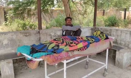 धमतरी में मधुमक्खियों का कहर, हमले में सास की मौत; दामाद की हालत गंभीर