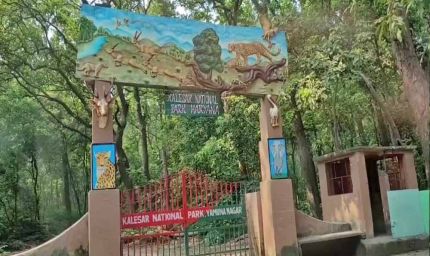 हरियाली की दौड़ में यमुनानगर अव्वल, 60 लाख से ज्यादा पेड़ लगाकर बना नंबर-1 जिला