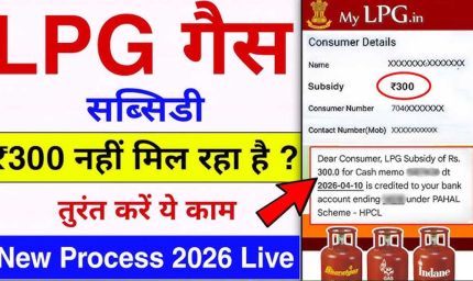 ₹300 सस्ता LPG सिलेंडर कैसे पाएं? 10 करोड़ से ज्यादा परिवार उठा रहे इस योजना का लाभ