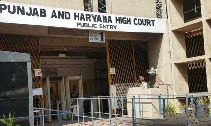 28 साल बाद मिला न्याय, पोती की मौत पर दादा को मुआवजा बरकरार; HC बोला- निर्भरता सिर्फ आर्थिक नहीं