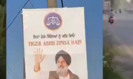 मजीठा में पोस्टर वॉर तेज: 'भगोड़ा' के जवाब में लगे 'टाइगर अभी जिंदा है' के पोस्टर