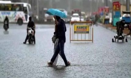हरियाणा में बदला मौसम का मिजाज, 16 जिलों में बारिश; 7 जिलों के लिए अलर्ट जारी