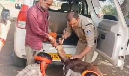 गुना के डायल-112 हीरोज घायल हिरण के शावक को सुरक्षित वन विभाग के सुपुर्द किया