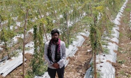 पारंपरिक खेती छोड़ करेले से बदली किस्मत, किसान दीपक ने कमाए 2.95 लाख रुपये का शुद्ध मुनाफा