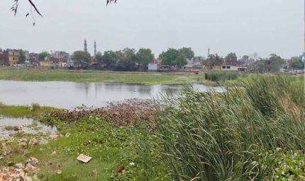 Yamunanagar के जलाशयों पर अतिक्रमण का कब्जा, 592 तालाबों में कचरा, 69 पूरी तरह सूखे