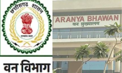 छत्तीसगढ़ वन विभाग में बड़ा फेरबदल, चार वरिष्ठ IFS अधिकारियों को मिली नई जिम्मेदारी