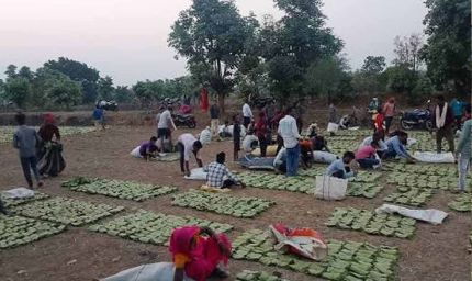 बस्तर में तेंदूपत्ता खरीदी का नया रिकॉर्ड, फिर भी 50 हजार संग्राहकों ने नहीं किया संग्रहण कार्य