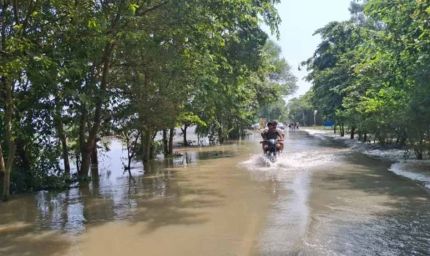 गुरदासपुर में रजबाहा टूटने से बड़ा संकट, सैकड़ों एकड़ फसल जलमग्न, कई गांवों की जलापूर्ति ठप