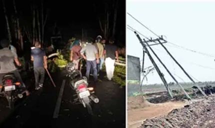 हरियाणा में मौसम का कहर, ब्लैकआउट के बीच फतेहाबाद में आंधी से सैकड़ों पेड़ और खंभे गिरे